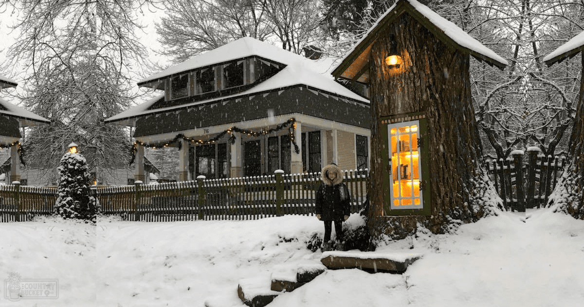 A young adult female in a snowy residential area wearing a dark coat with fur-lined hood and high-collared neckline. A small treehouse-like structure with green frame, wooden panels, and lit interior is surrounded by snow-covered ground and trees.