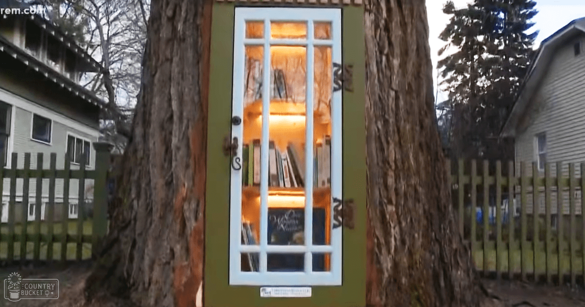 A small treehouse nestled between two large trees in a suburban neighborhood with a sign indicating it's a 'Little Free Library'. The scene is bathed in soft daylight, likely late afternoon.