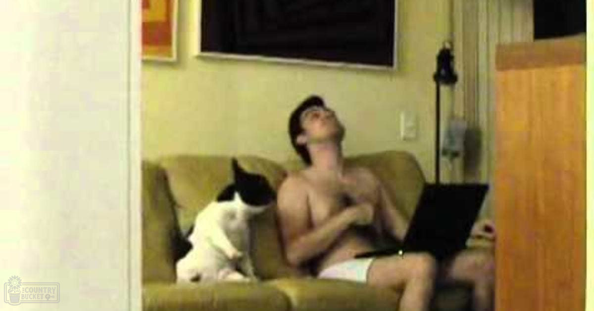 A young adult male wearing glasses, shirtless in white shorts with a black pattern sits with a black-and-white domestic shorthair cat in a living room with natural light and greenish-yellow couches.