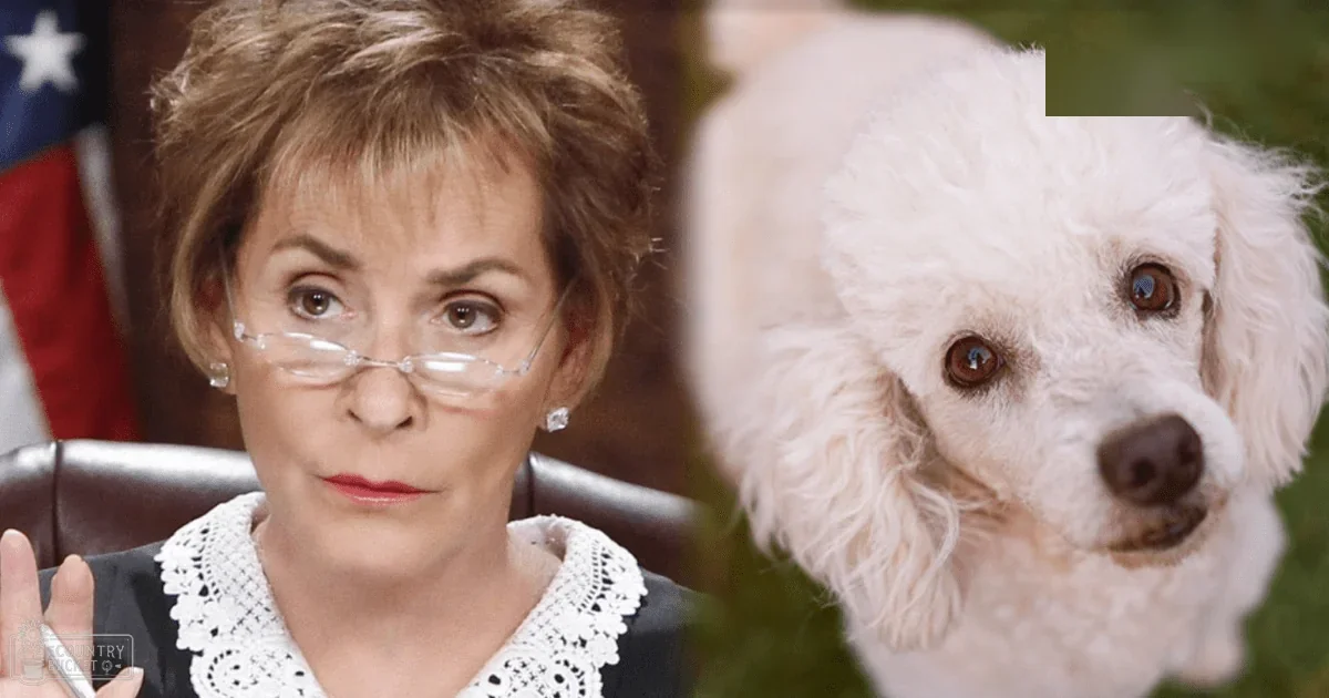 A middle-aged adult female wearing a black blazer with white lace trim in an indoor office setting, accompanied by a white poodle.