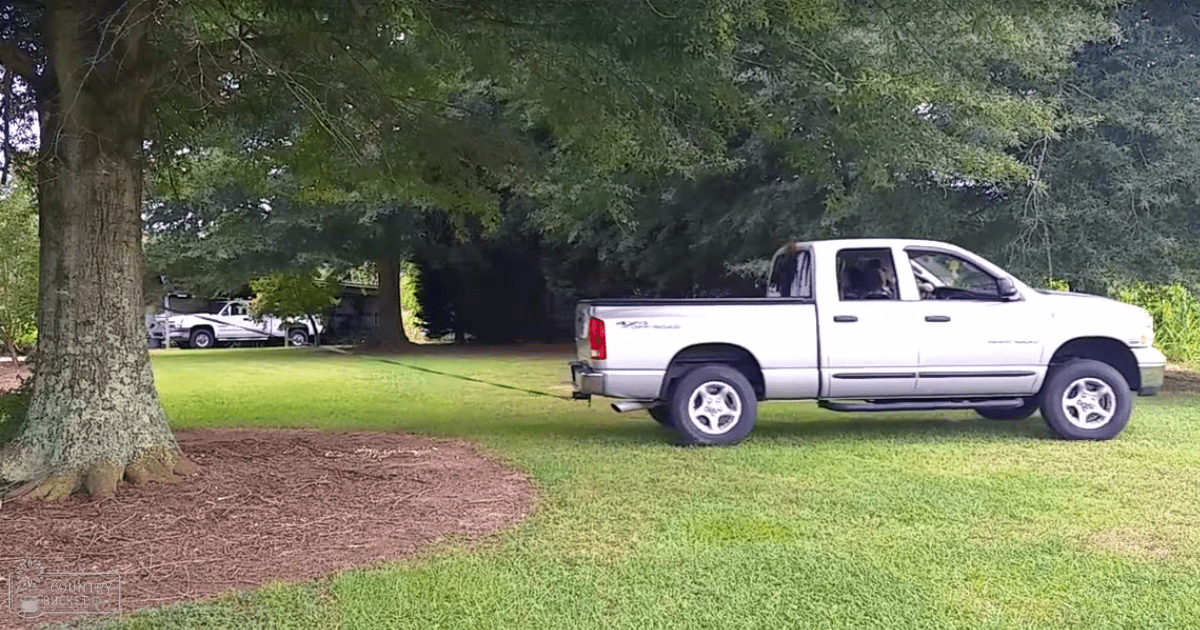 Dodge Truck