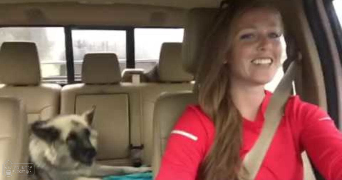 An adult female with a red garment and long hair, inside a vehicle with beige seats; a Siamese cat in the backseat on an overcast day.