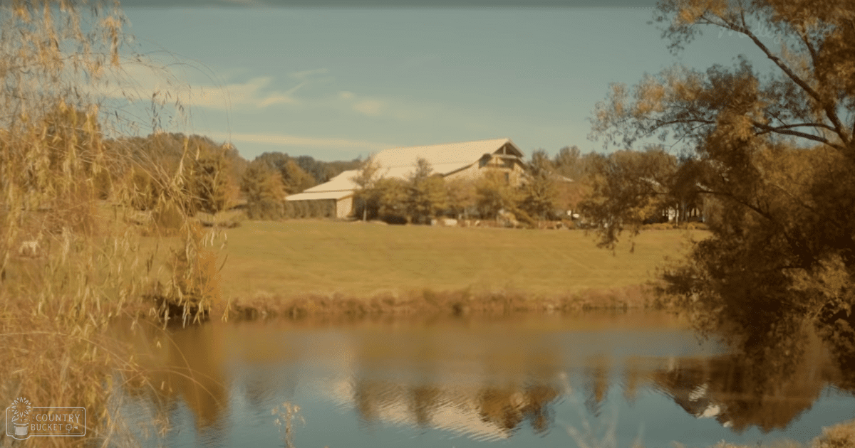 A rural landscape with a pond and barn-like structure, likely set during autumn.