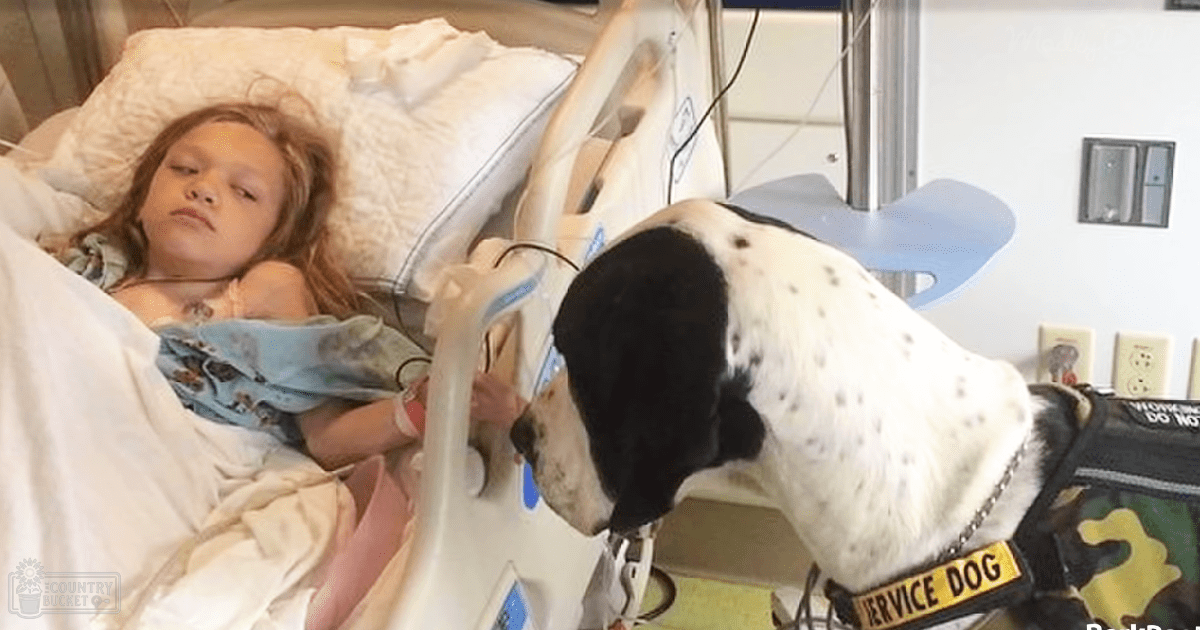A young girl with long hair, wearing light blue pajamas with small animal patterns, lies in a hospital bed surrounded by medical equipment and a service dog. The scene is indoors within a hospital room during daytime.