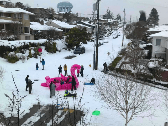 Pool Float Sledding