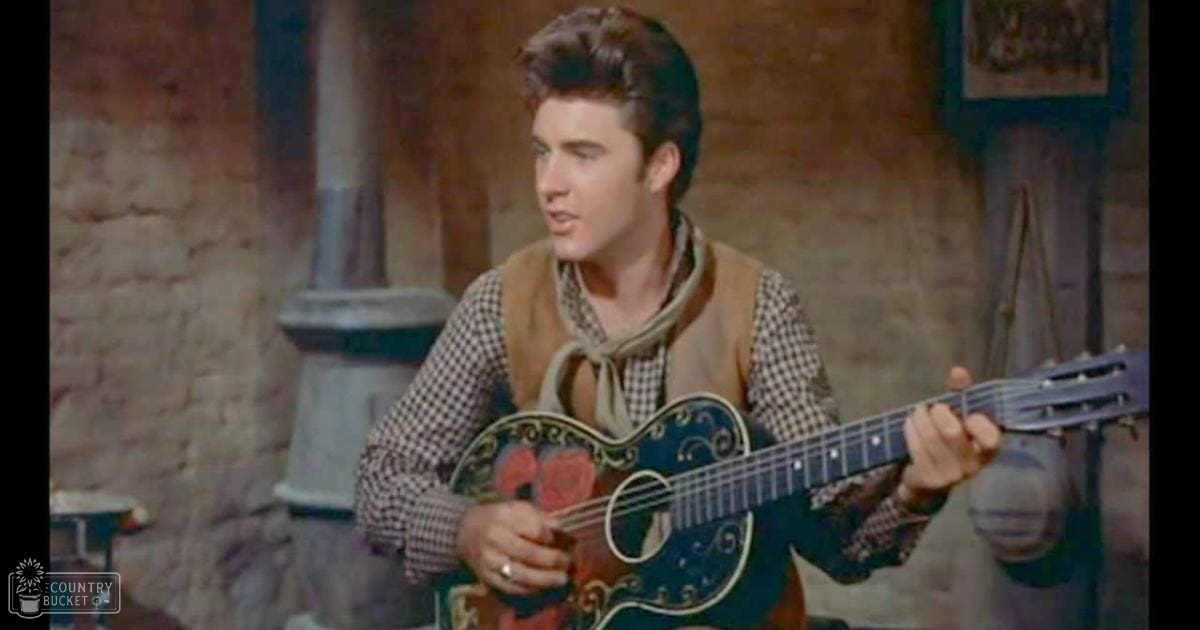 A young adult male wearing a checkered brown shirt with a tan vest over it, holding an intricately designed decorative guitar in front of a rustic stone wall and old stove, suggesting a historical or rural setting.