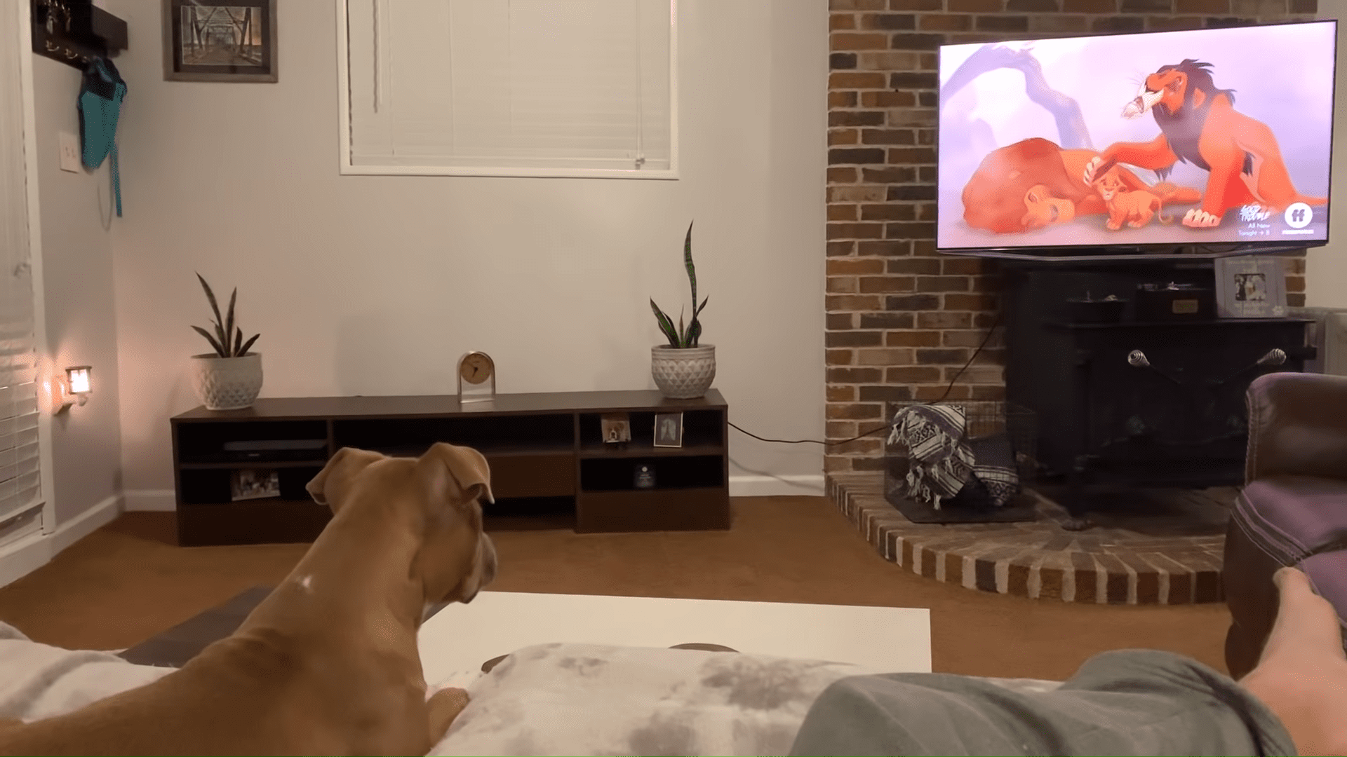 A tan-colored adult dog with floppy ears, possibly a pit bull or similar breed, sits in front of a television displaying 'The Lion King' in a cozy living room setting.