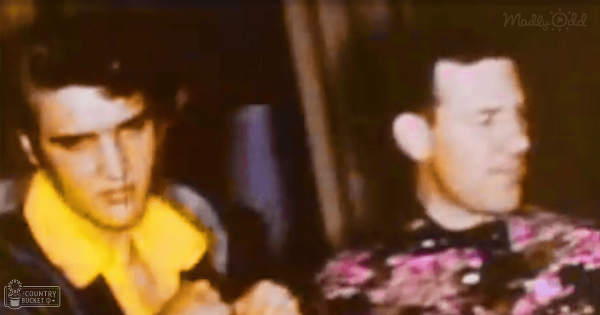Two adults, one in a yellow collar and dark jacket with a patterned shirt underneath, the other in a floral pink-purple-white garment with high neckline and long sleeves, standing indoors with curtains in the background. The scene suggests an evening setting with dim lighting.