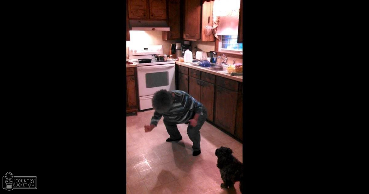A young adult female wearing a striped long-sleeve shirt stands in a home kitchen with wooden cabinets and natural light streaming through the window. A small black poodle is present in the foreground, adding to the domestic setting.