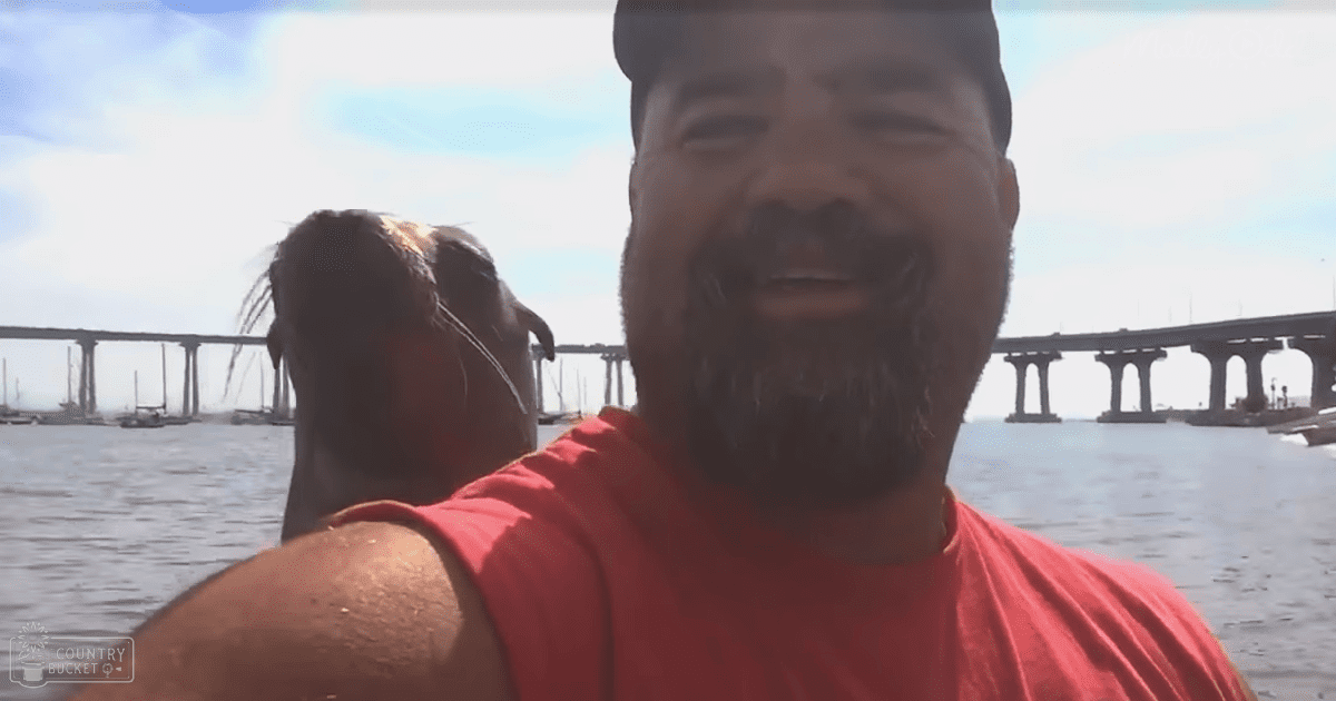An adult male with a beard, wearing a red sleeveless shirt, stands by the waterfront near a bridge on partly cloudy late afternoon or early evening skies.