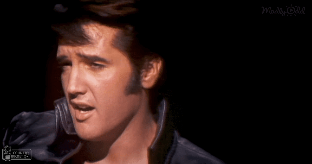 An adult male singer in a 1950s-style black leather jacket over a white shirt, indoors with dramatic lighting.