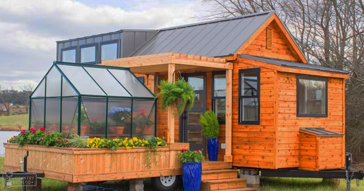 A rural scene with a tiny house with orange wooden planks, an attached greenhouse with green metal framing and clear plastic panels, surrounded by potted plants and blue vases in autumn or winter light.