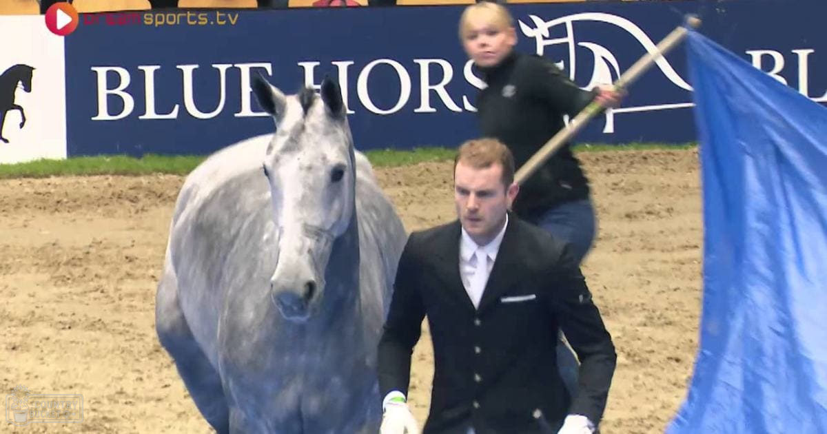 A young adult male in a dark suit jacket stands beside an adult gray or silver horse with darker patches, while a child in a black coat holds a blue flag. The setting is an indoor equestrian arena with artificial lighting and sand-covered floor.
