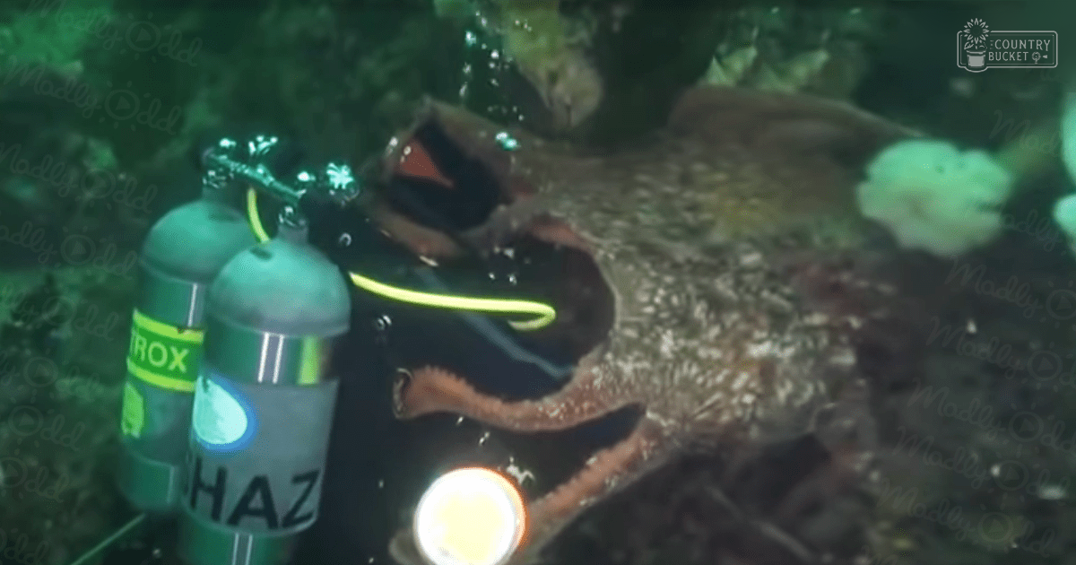 A diver in an underwater cave with a focus on oxygen tanks labeled 'NITROX' and 'HAZ', neon yellow trim diving suit, flashlight, rocky background, natural light filtering through