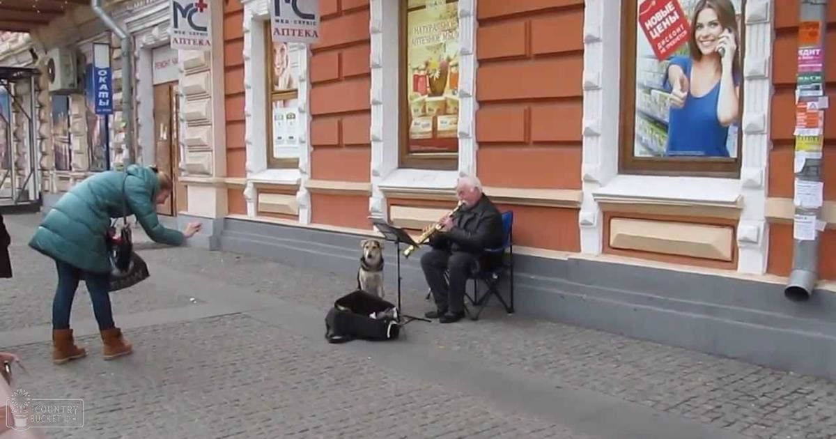 An older adult female street musician plays saxophone with her dog in an urban setting, surrounded by storefronts and signage indicating businesses such as pharmacies.