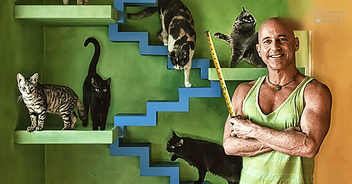 A middle-aged man wearing a green sleeveless tank top with a V-neckline, holding a yellow measuring tape in an indoor setting with cats. Shelves have a zigzag blue and green design.