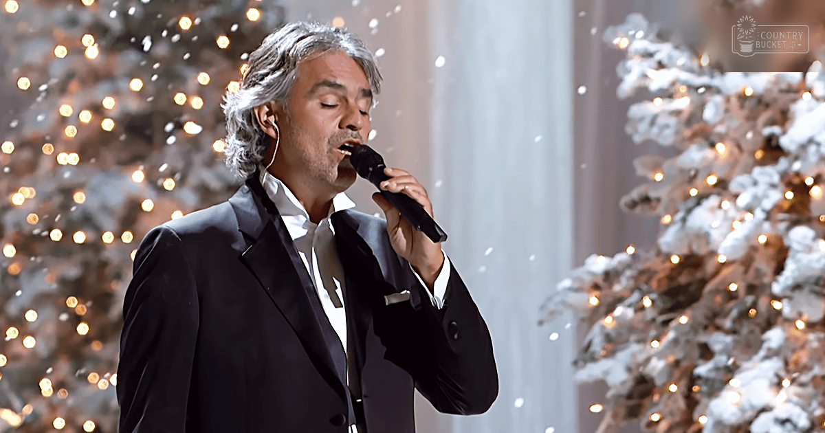 A middle-aged man in a dark suit performs with a microphone against a backdrop of decorated Christmas trees, suggesting a holiday performance or event.