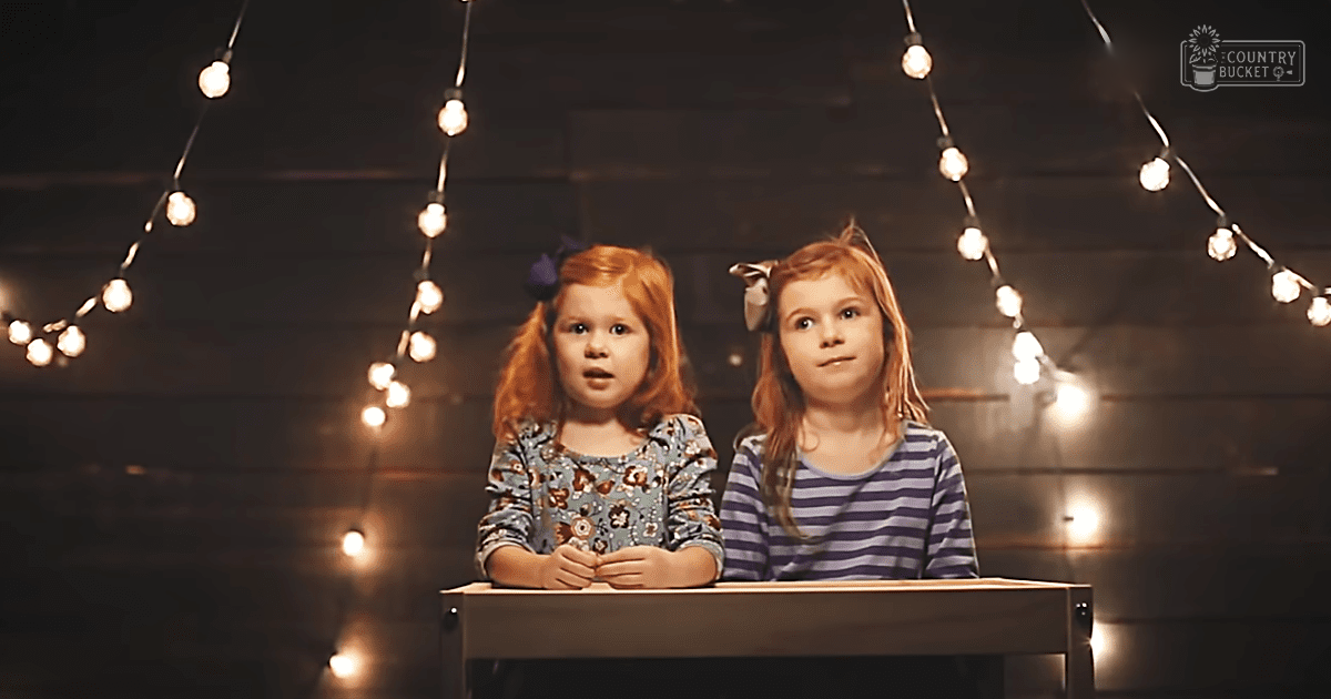 Two young female children in a cozy indoor setting, wearing floral and striped dresses under string lights.