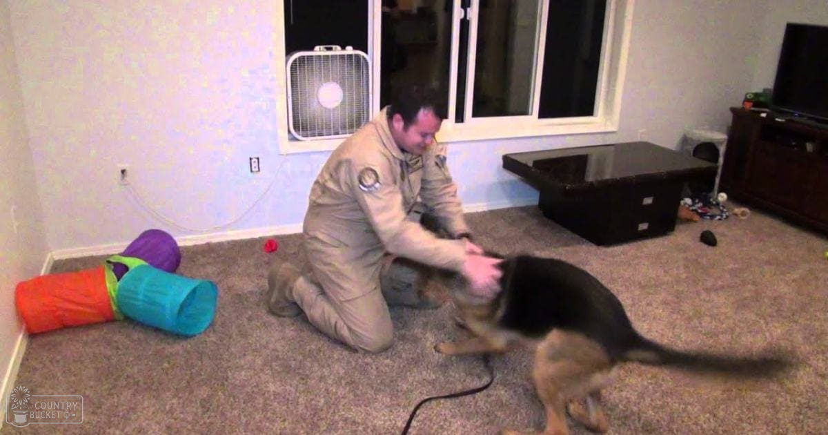 An adult male wearing a beige jumpsuit interacts with an adult German Shepherd dog in an indoor setting, with visible toys and storage items.