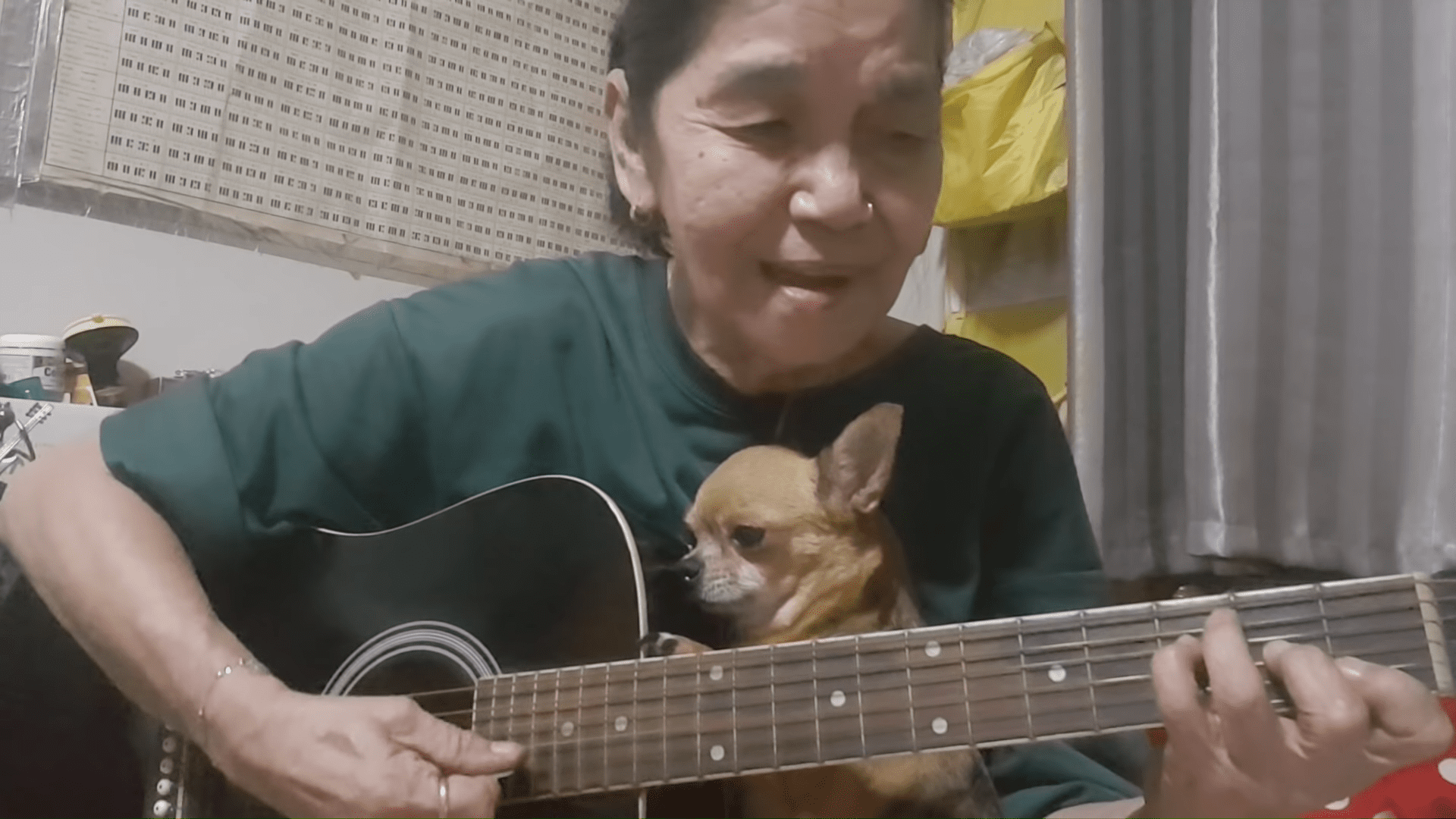 An older adult male playing a guitar indoors, accompanied by a light brown Chihuahua dog on the floor.