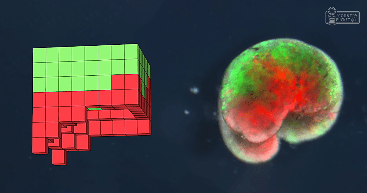 Abstract pixelated cube with blurred sphere shapes against dark backdrop, green and red hues dominate