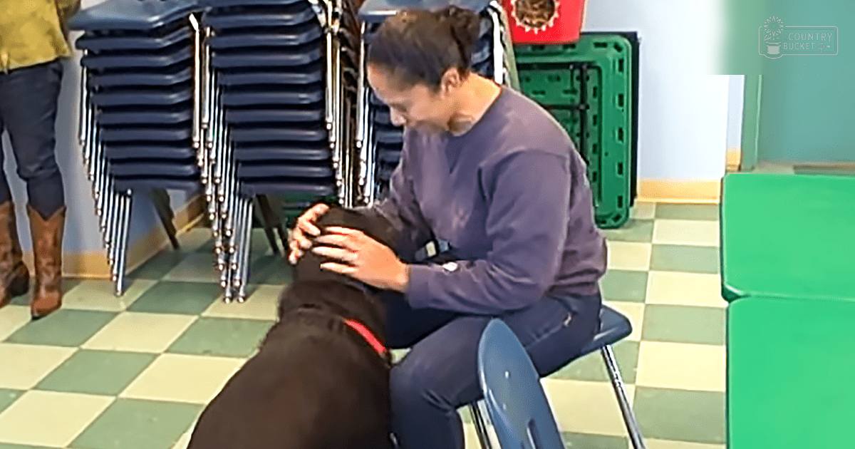 A middle-aged woman sits with a chocolate Labrador Retriever in an indoor setting, surrounded by stacks of blue chairs and a green plastic crate, under natural daylight.