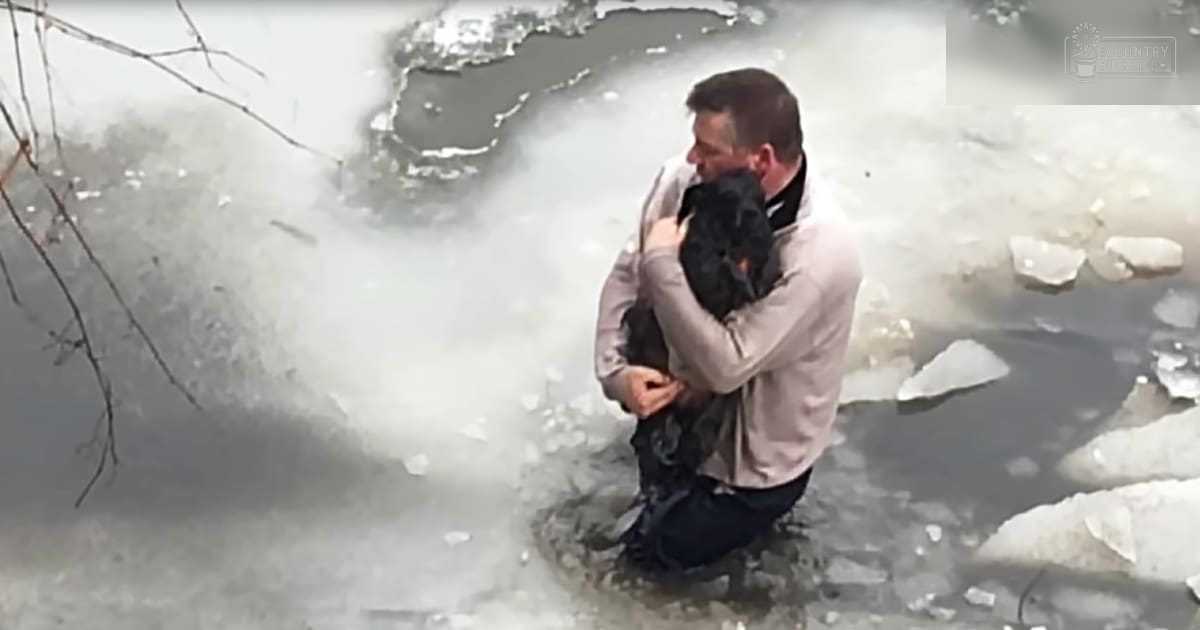 A man wearing a beige long-sleeved shirt rescues a black Labrador Retriever from icy water in a winter outdoor setting.