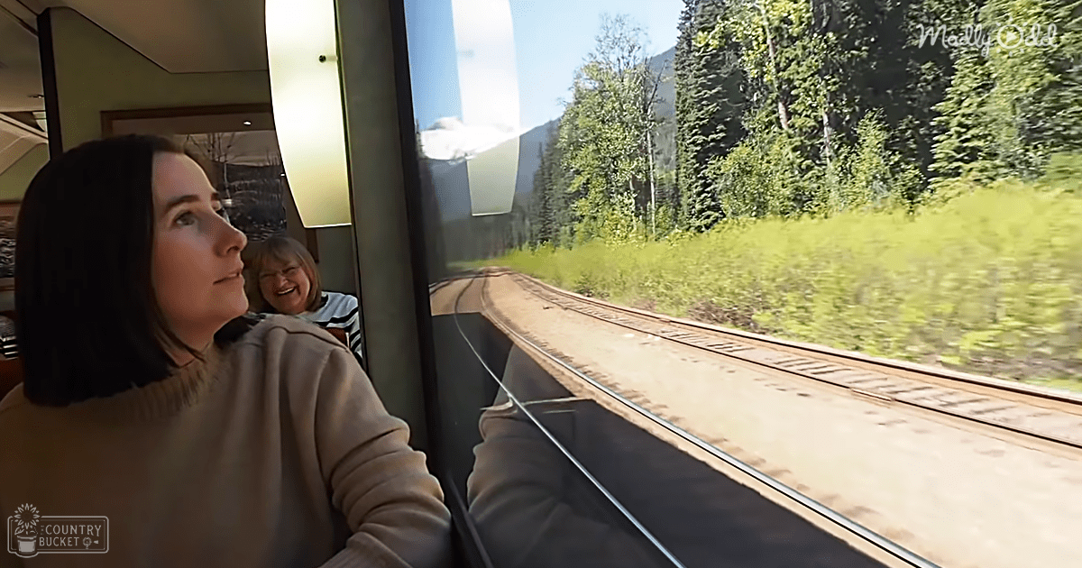 A young adult female with shoulder-length dark hair wearing a beige sweater inside a train, with lush greenery and railway tracks visible outside under natural daylight.