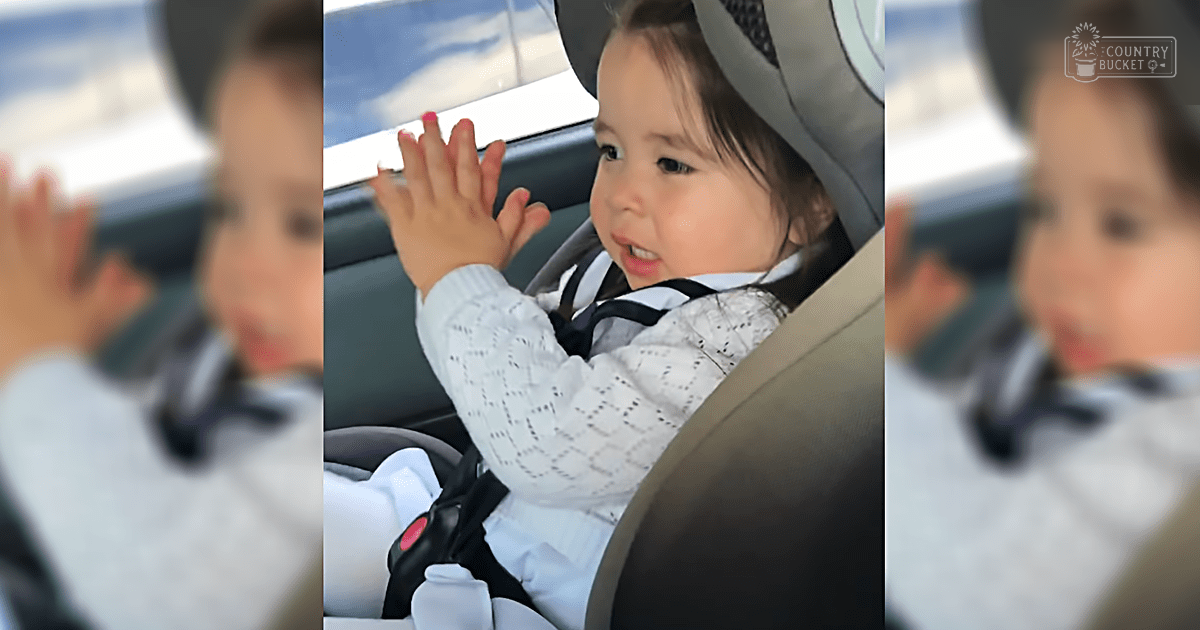 A toddler in a white sweater with geometric pattern, black tie, and dark pants or shorts, seated inside a car on what appears to be a mild day.