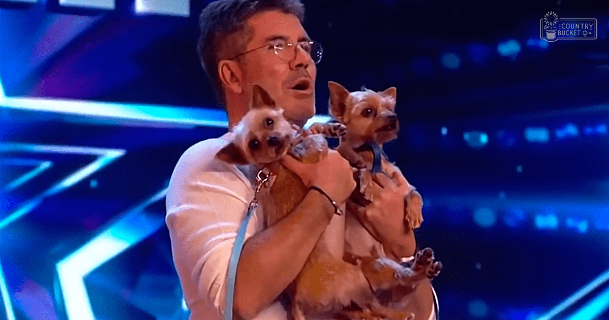 A middle-aged adult male wearing a white short-sleeved, collared shirt with vertical stripes stands on stage holding two small brown and tan dogs.