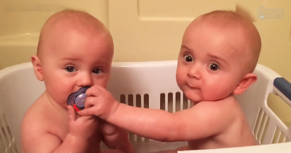 Two infants in a laundry basket indoors with yellow walls and white basket, natural setting