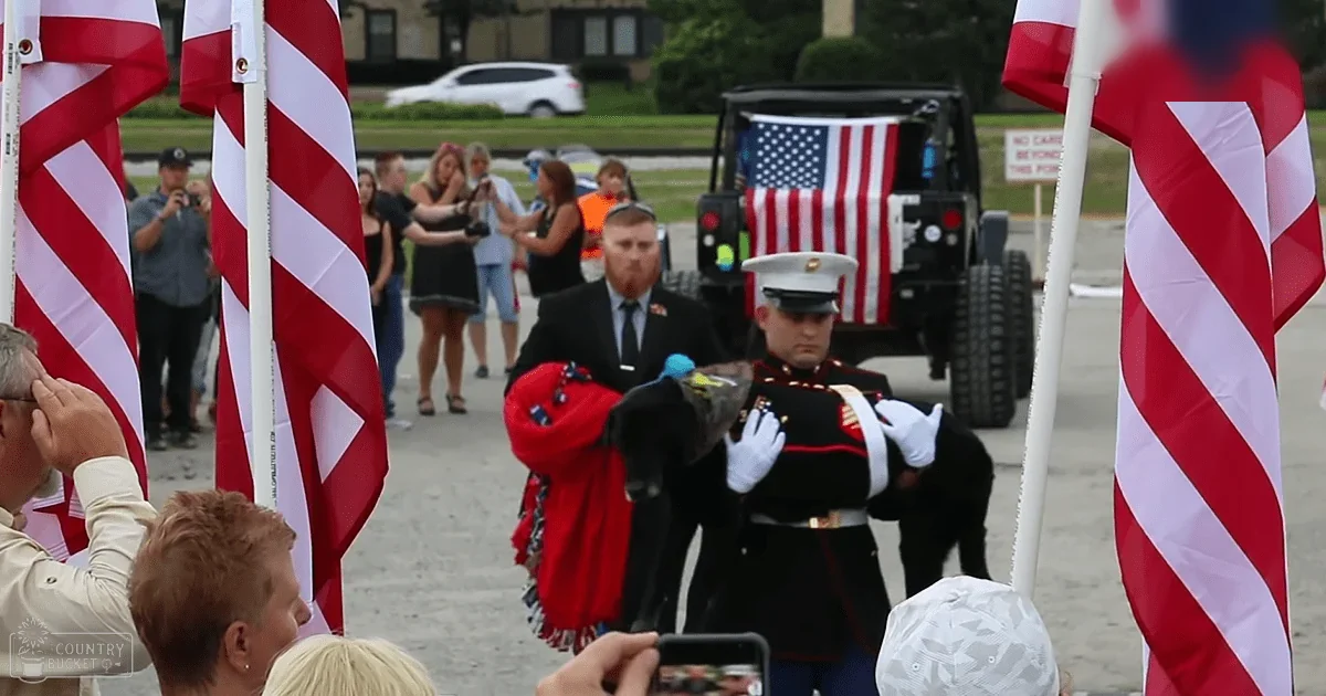 A military funeral procession in an urban area with American flags, trees, and a black Jeep.
