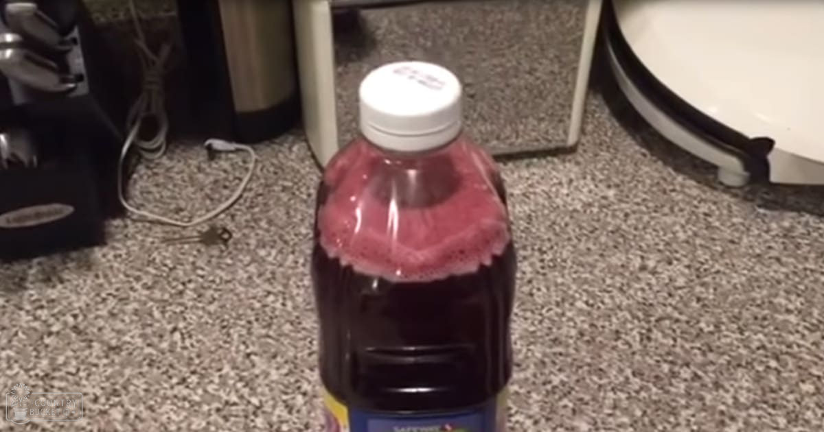 Dark liquid in plastic bottle, kitchen setting with white plate visible