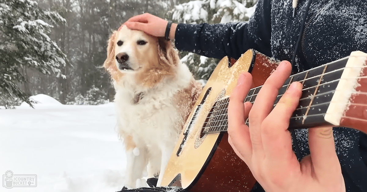 An adult male in a snowy outdoor setting plays guitar with a golden retriever dog.