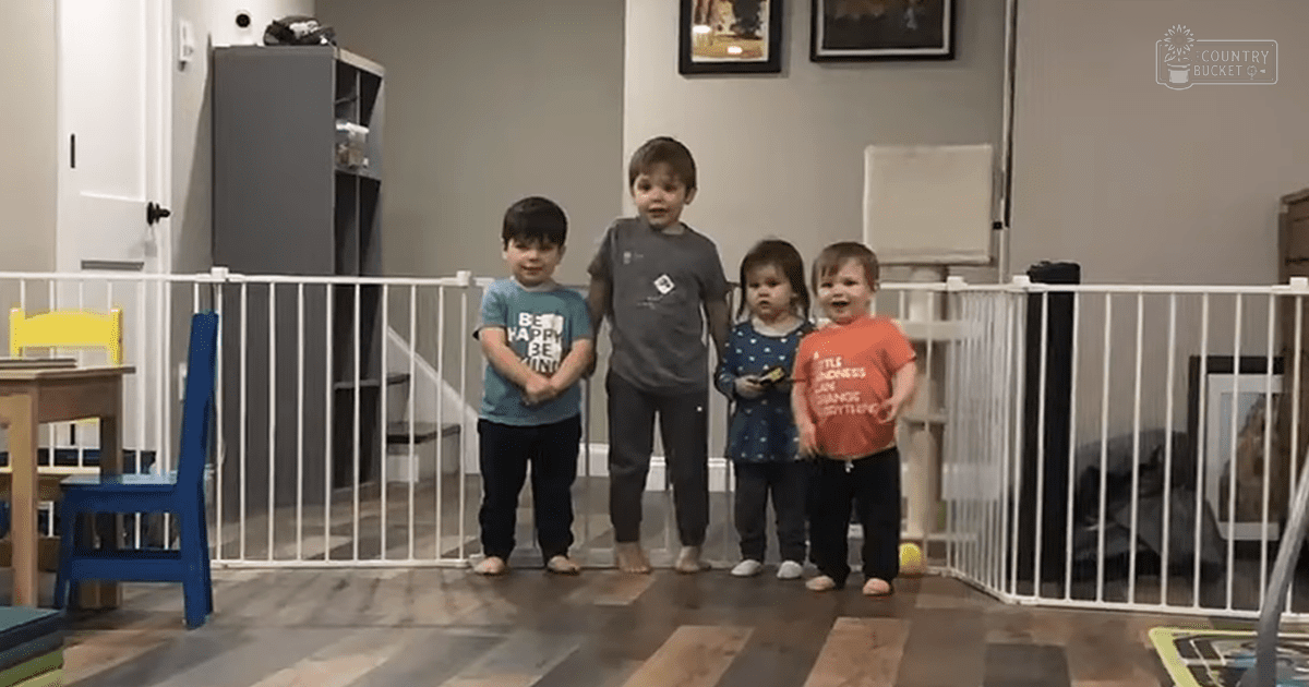 Four children in an indoor home setting with a white baby gate across the middle. The scene includes household furniture like shelves, a chair, and a possible fireplace area.