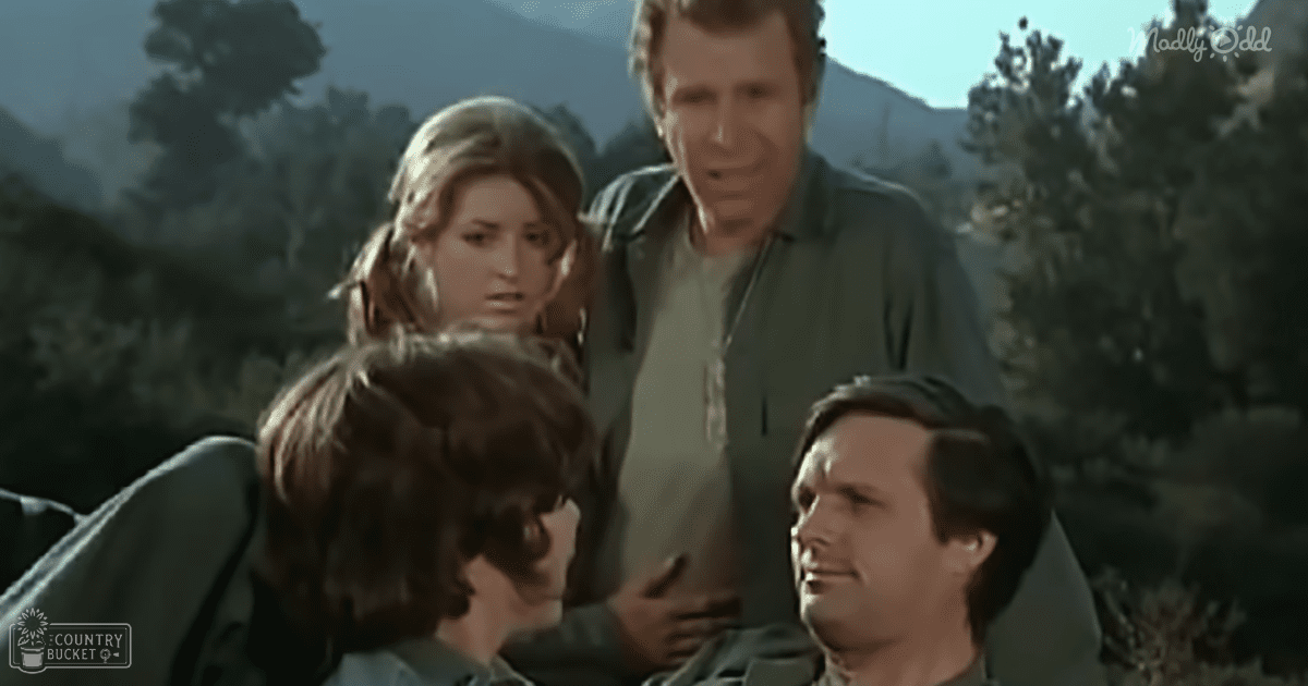 Four individuals, including a young adult male in light green-gray jacket over dark shirt, an older adult male with patterned jacket and beard, a young female with loose waves in greenish-gray jacket over darker top, and another older man in plain greenish-gray shirt under darker jacket, stand outdoors amidst trees and mountains at late afternoon or early evening.