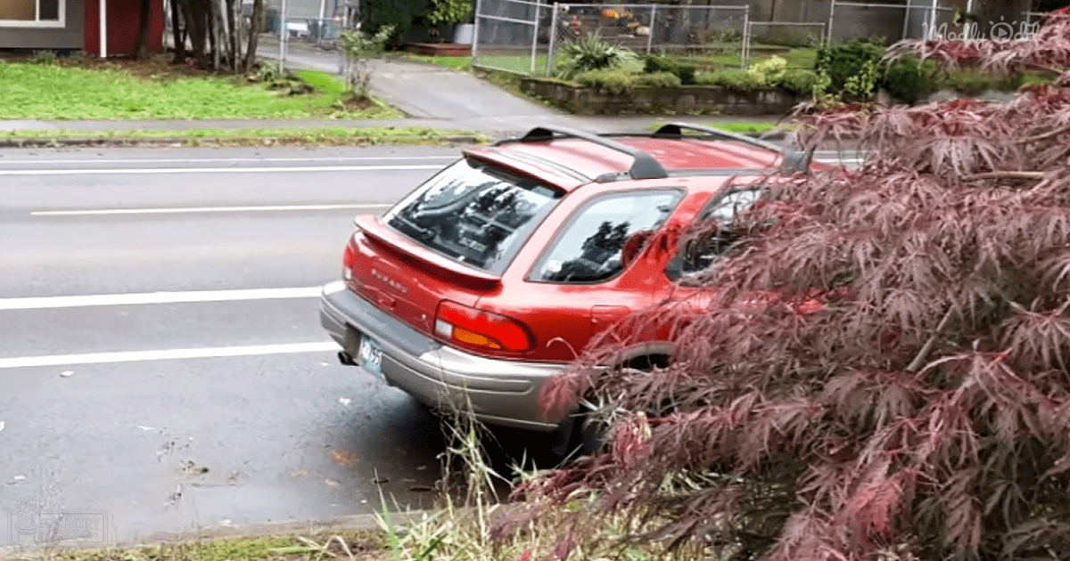 A suburban neighborhood with a red car parked on the side of the street during autumn or early spring.