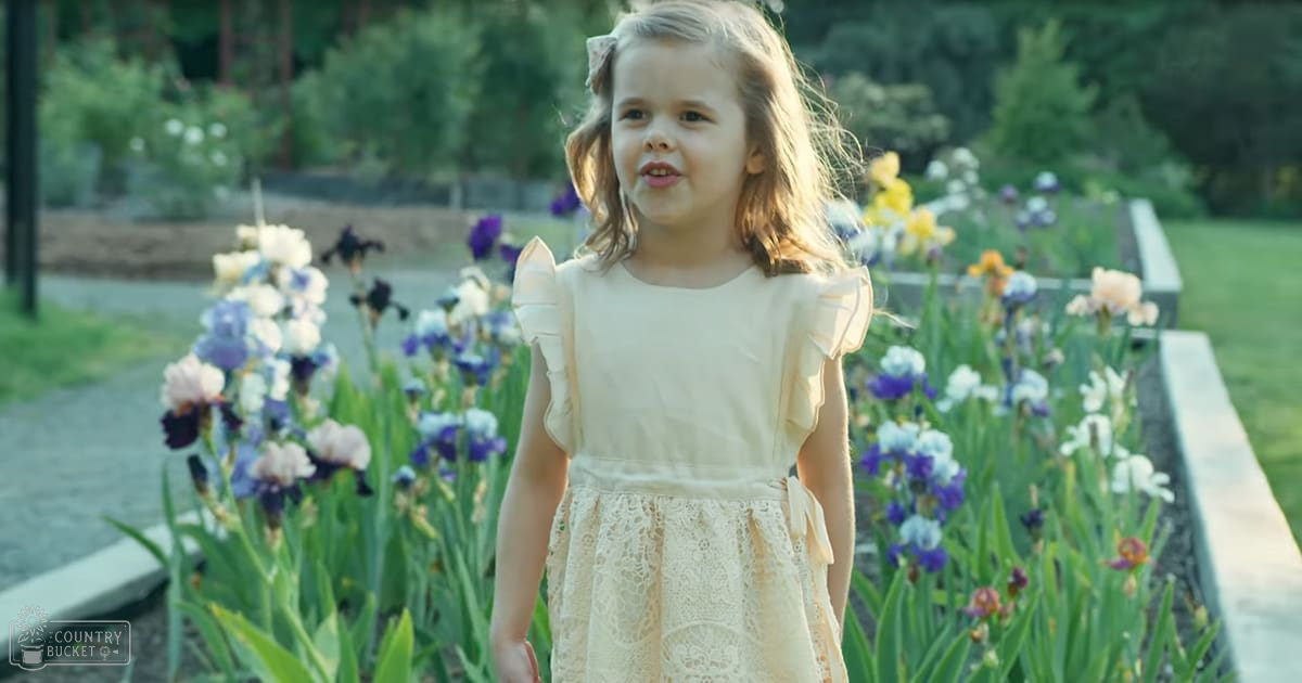 A toddler girl wearing a cream-colored lace dress with ruffled sleeves stands amidst blooming irises in an outdoor garden setting, surrounded by greenery and soft natural daylight.