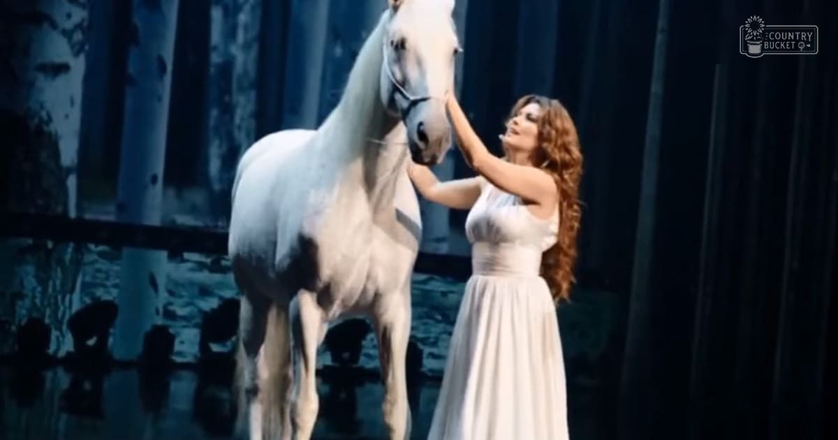 An adult female in a sleeveless, floor-length dress interacts with a white horse indoors against dark curtains and vertical lines.