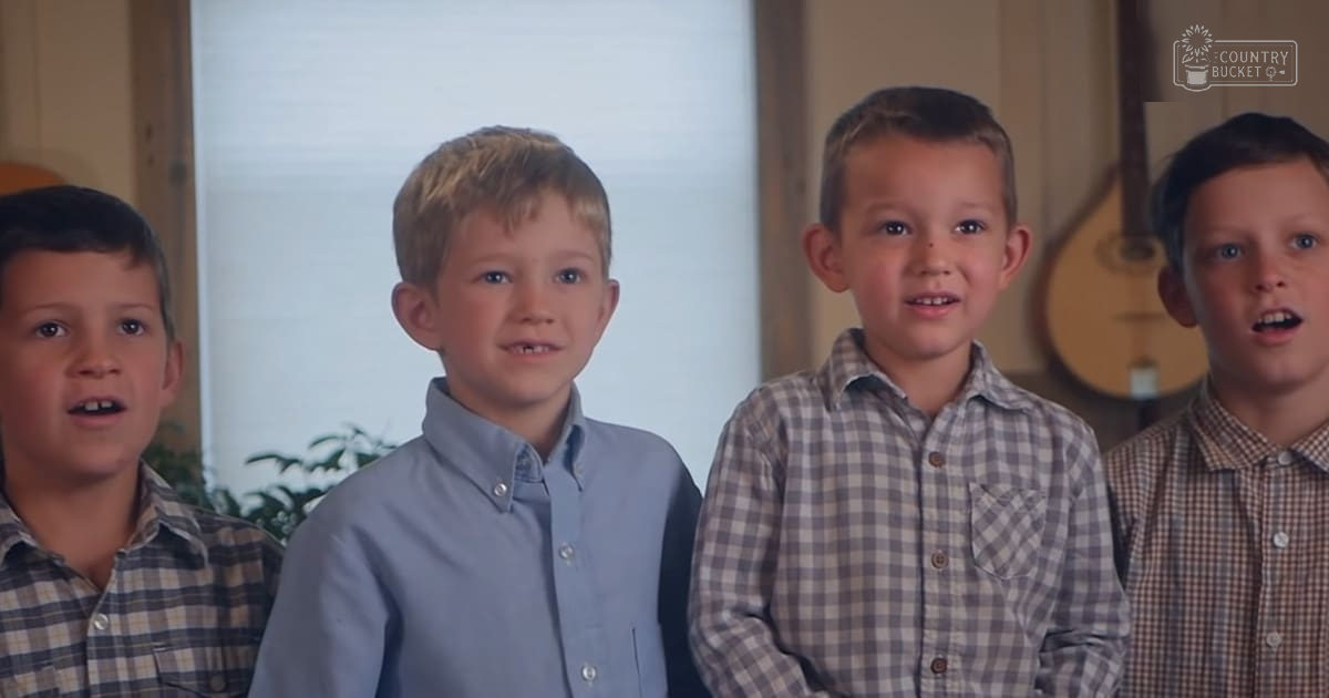 Four young boys in an indoor home setting wearing checkered shirts with natural light streaming through a window.