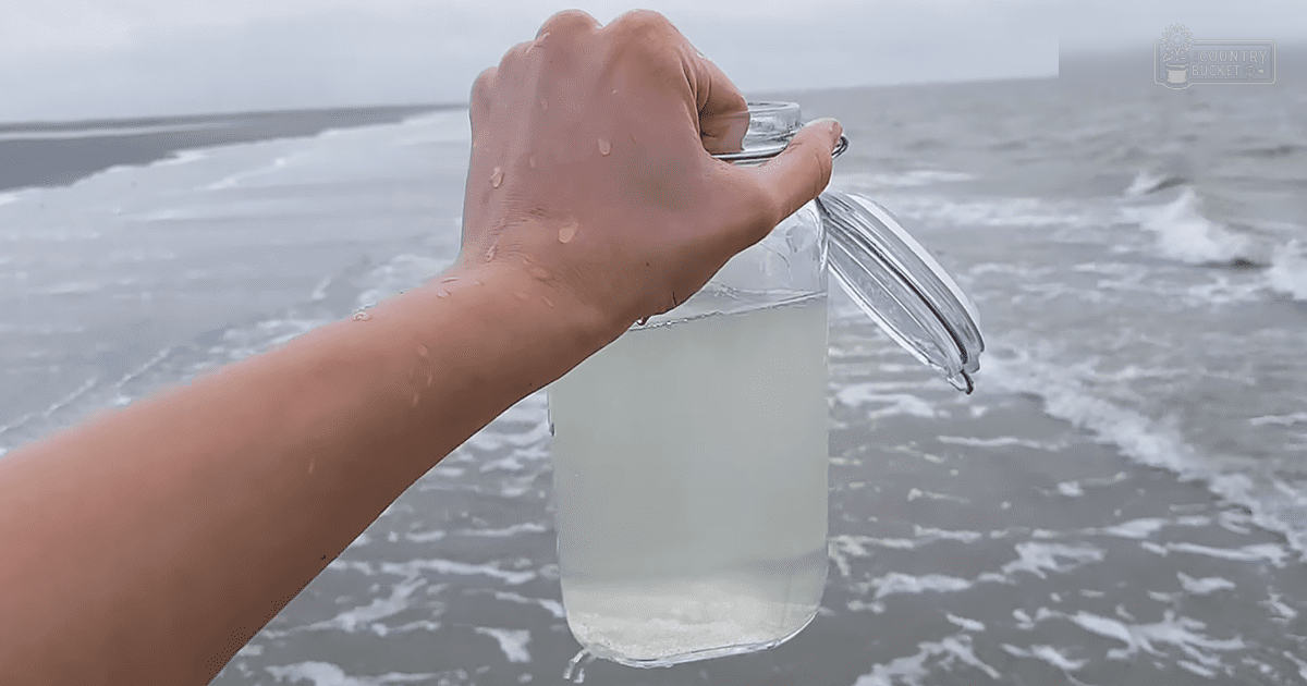 A hand holding a jar with water near an ocean, under cloudy overcast skies.