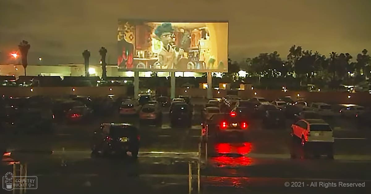 Drive-in movie theater at night with cars parked facing a large screen, palm trees and vegetation in the background, nighttime lighting casting reflections on wet pavement.