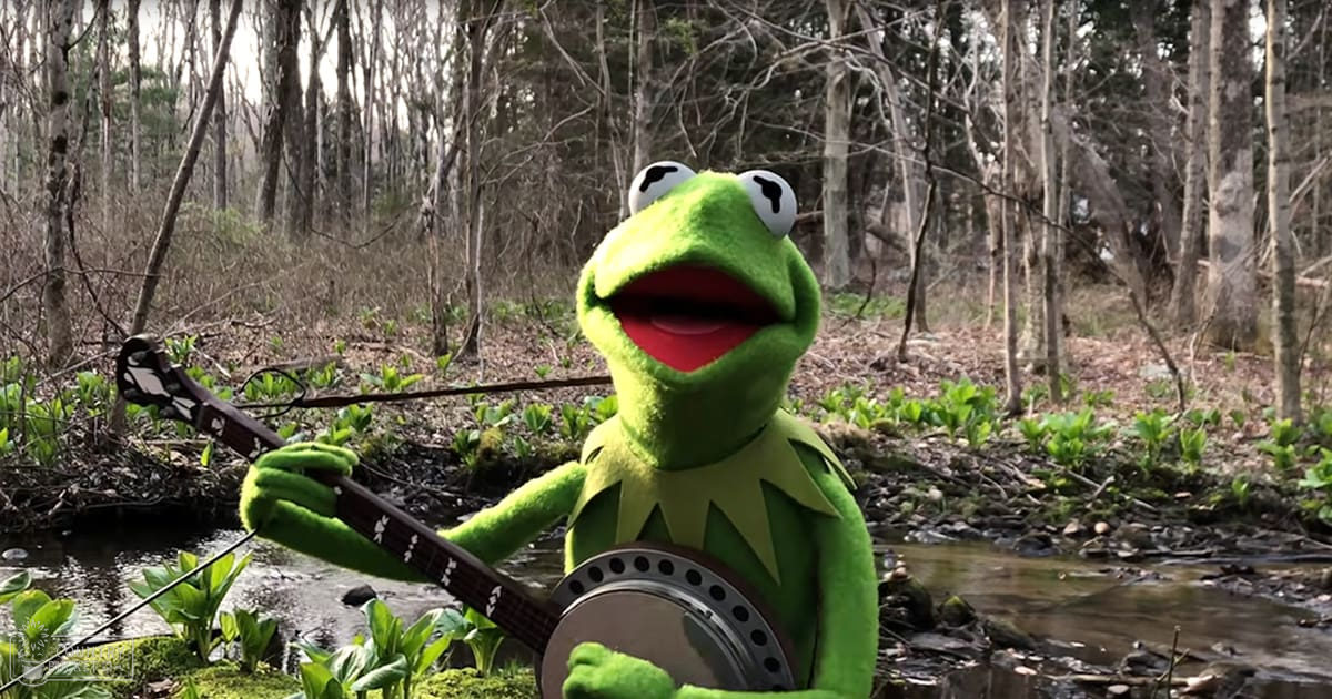 Kermit the Frog as a Muppet frog in an adult male appearance wearing a green superhero-style costume with star pattern, holding a banjo amidst bare trees and new growth in a forest setting during spring or early summer.