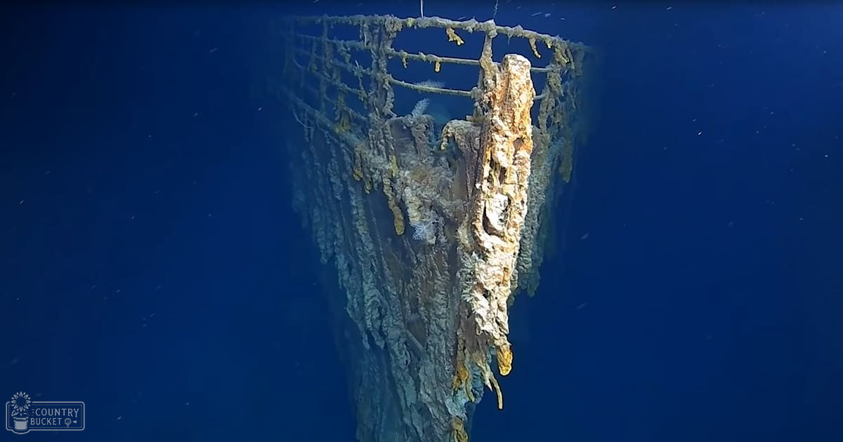 Underwater scene showing a partially submerged old shipwreck covered with marine growths in deep blue water with muted colors around it.