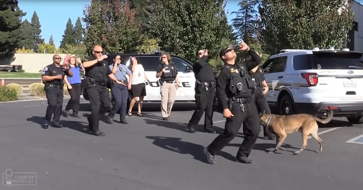 A group of police officers in training outdoors near a parking lot with two marked patrol cars visible behind them; a dog is present in the scene.