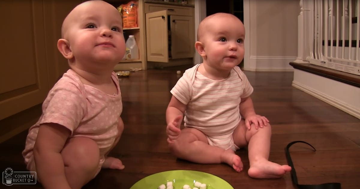 Two infants wearing light pink outfits, one with polka dots, the other striped, sitting indoors near a green plate and kitchen cabinets in an evening home setting.