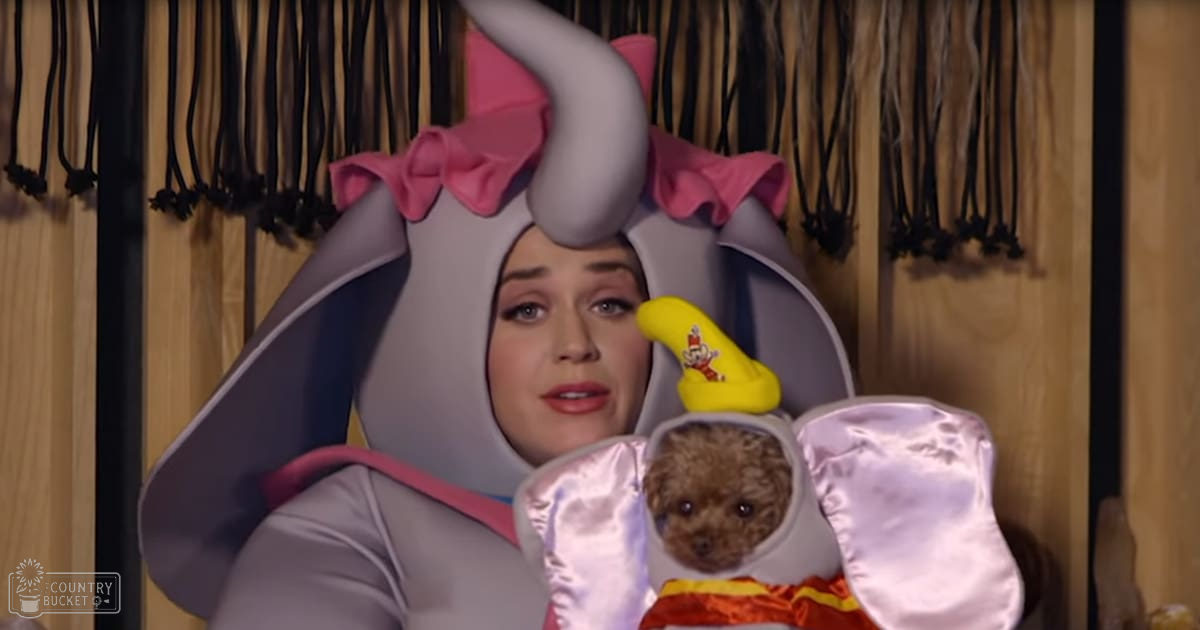 A small brown puppy in a costume resembling an elephant, surrounded by hanging black cords and yellow objects on the costume.