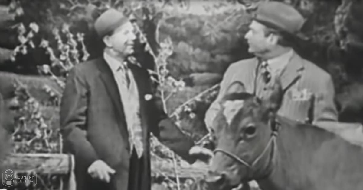 Two older adult men in suits interacting with a cow in an outdoor rural setting during the daytime.