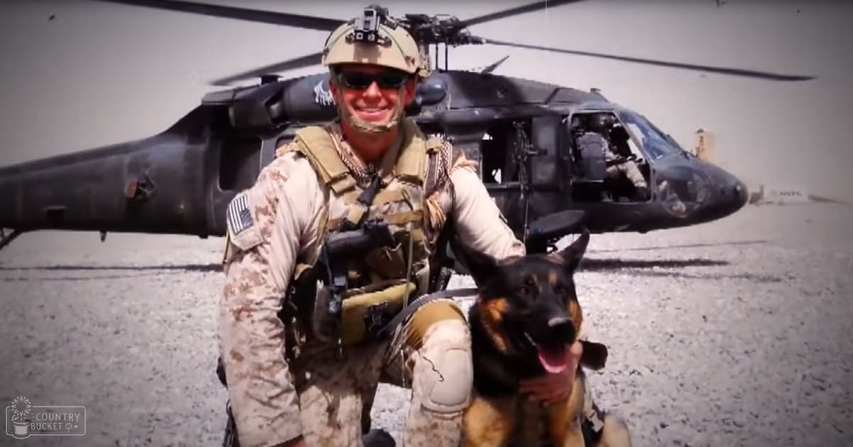 A soldier in a military uniform with his black and tan German Shepherd on an airfield during the daytime, possibly spring or summer.