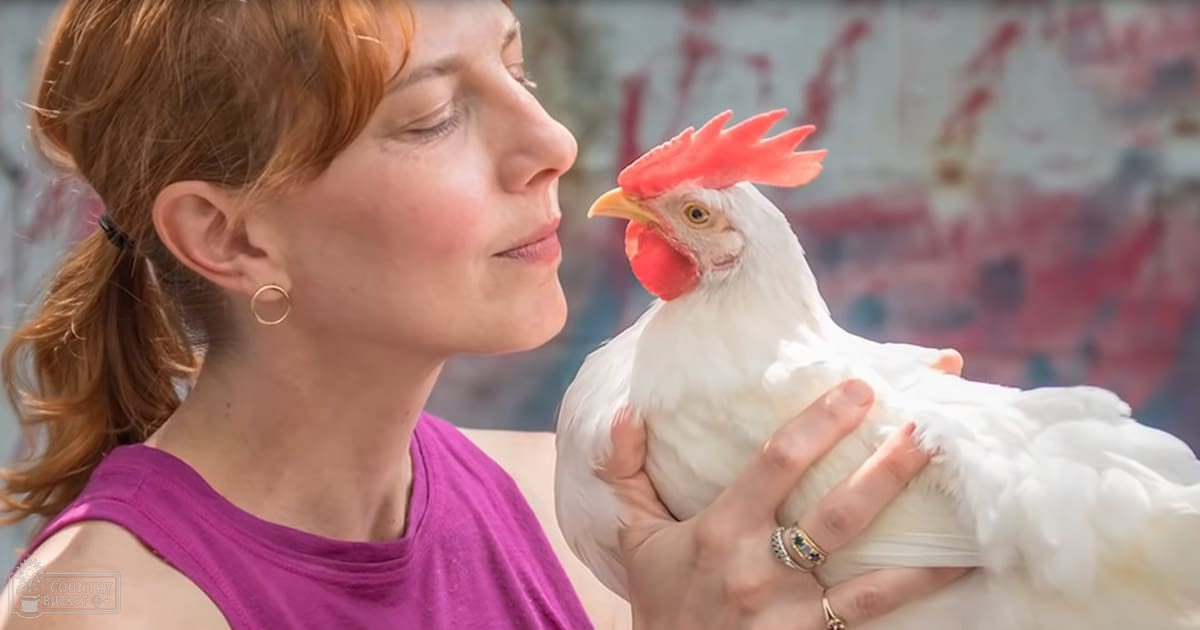 An adult female holds a white domestic chicken with red comb and wattle, set against an outdoor urban backdrop under midday light.